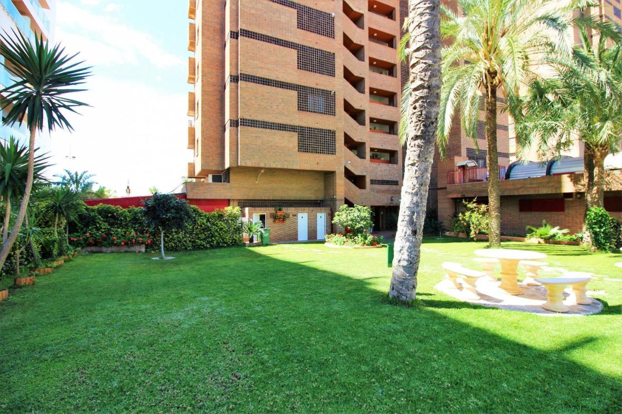 Principado Arena 7-b